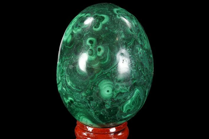 Stunning Polished Malachite Egg - Congo #89669